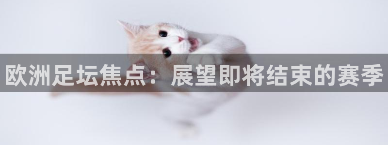 欧洲足坛焦点：展望即将结束的赛季