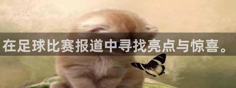 在足球比赛报道中寻找亮点与惊喜。