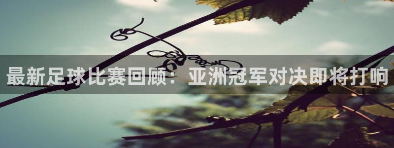 最新足球比赛回顾：亚洲冠军对决即将打响