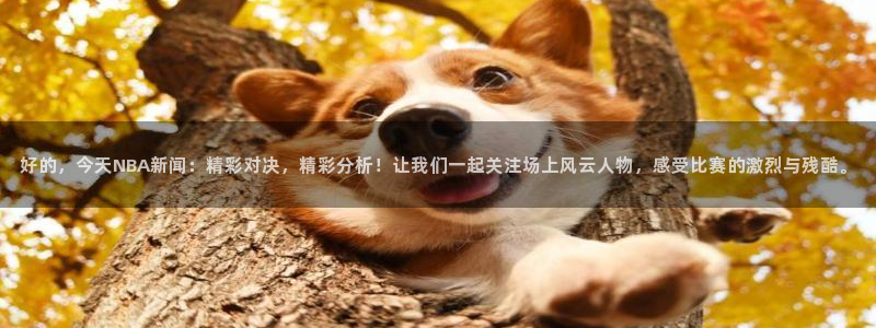 好的，今天NBA新闻：精彩对决，精彩分析！让我们一起关注场上风云人物，感受比赛的激烈与残酷。