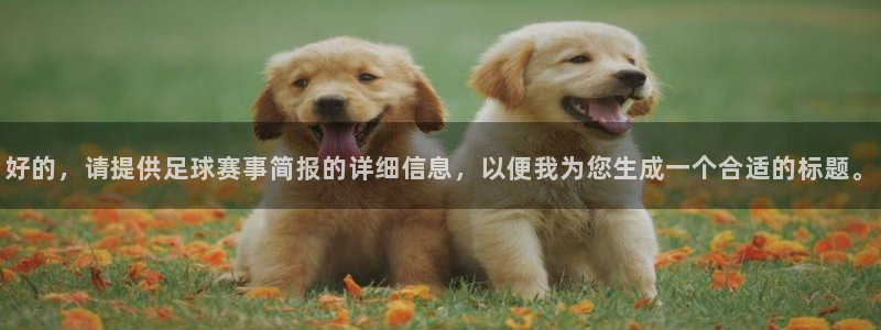 好的，请提供足球赛事简报的详细信息，以便我为您生成一个合适的标题。