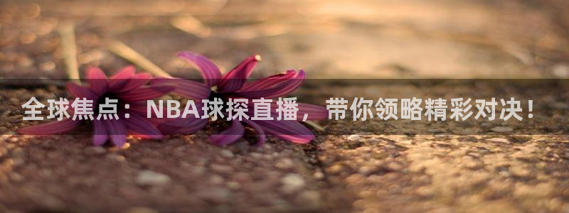 全球焦点：NBA球探直播，带你领略精彩对决！