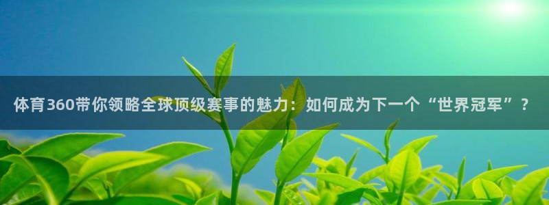 体育360带你领略全球顶级赛事的魅力：如何成为下一个“世界冠军”？