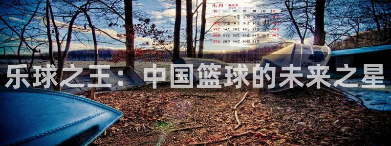 乐球之王：中国篮球的未来之星