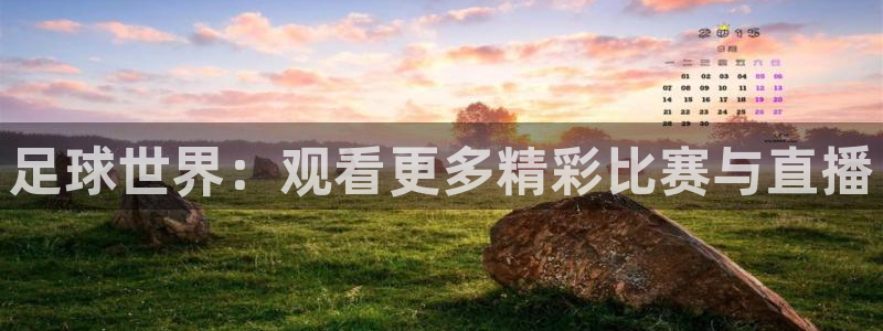 足球世界：观看更多精彩比赛与直播