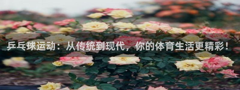 乒乓球运动：从传统到现代，你的体育生活更精彩！