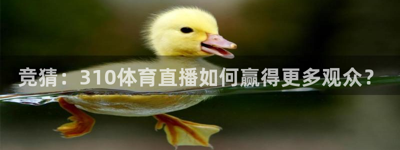 竞猜：310体育直播如何赢得更多观众？