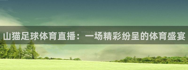 山猫足球体育直播：一场精彩纷呈的体育盛宴