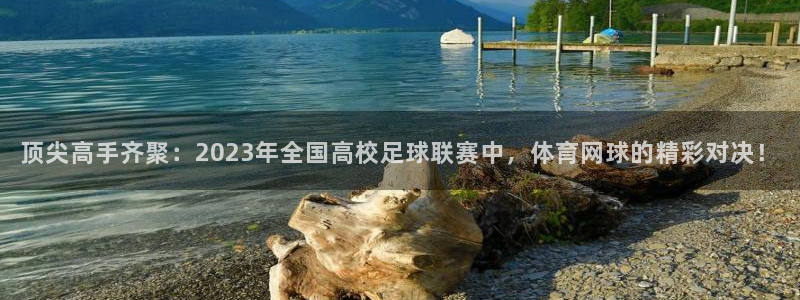 顶尖高手齐聚：2023年全国高校足球联赛中，体育网球的精彩对决！