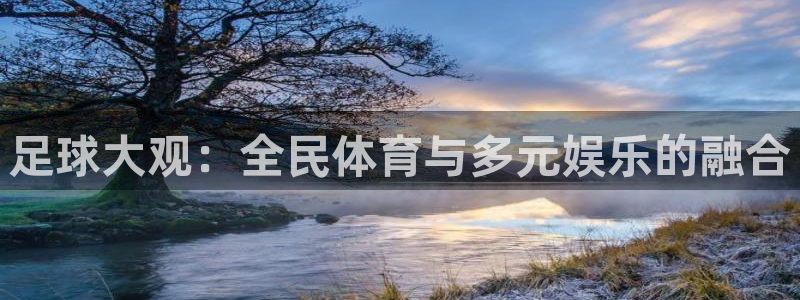 足球大观：全民体育与多元娱乐的融合