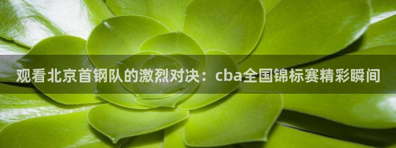 观看北京首钢队的激烈对决：cba全国锦标赛精彩瞬间
