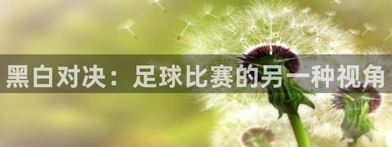 黑白对决：足球比赛的另一种视角