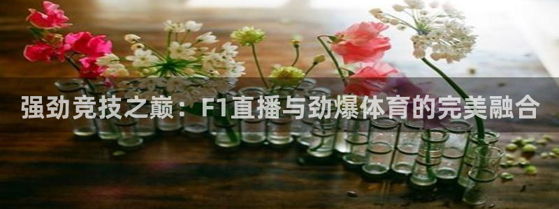 强劲竞技之巅：F1直播与劲爆体育的完美融合