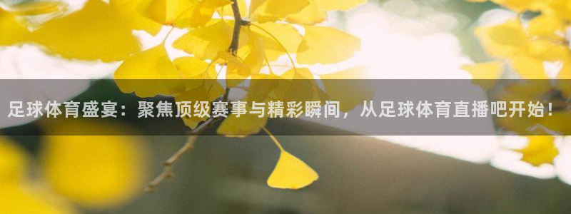 足球体育盛宴：聚焦顶级赛事与精彩瞬间，从足球体育直播吧开始！