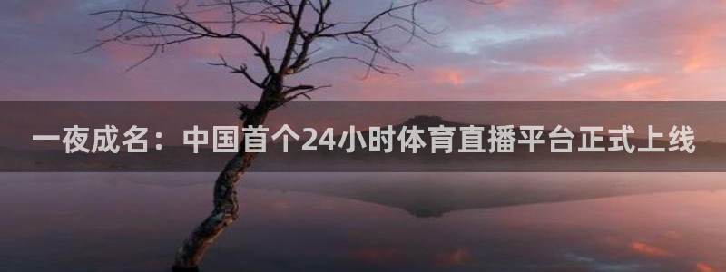 一夜成名：中国首个24小时体育直播平台正式上线