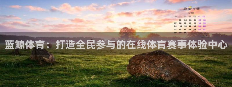 蓝鲸体育：打造全民参与的在线体育赛事体验中心