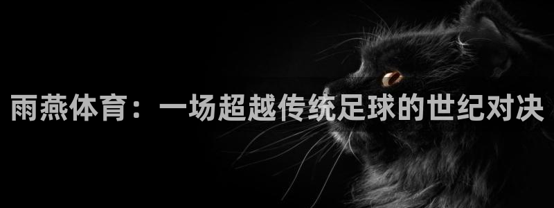 雨燕体育：一场超越传统足球的世纪对决