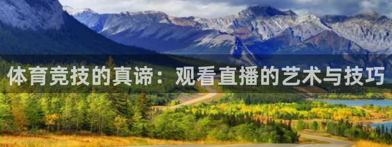 体育竞技的真谛：观看直播的艺术与技巧