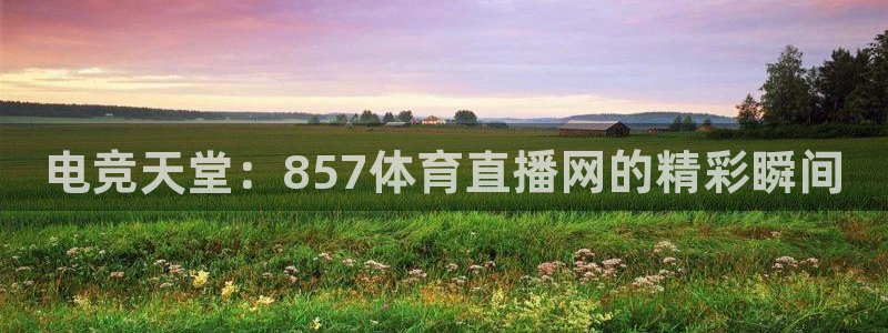 电竞天堂：857体育直播网的精彩瞬间