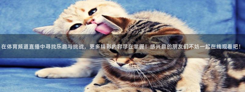 在体育频道直播中寻找乐趣与挑战，更多精彩内容尽在掌握！感兴趣的朋友们不妨一起在线观看吧！
