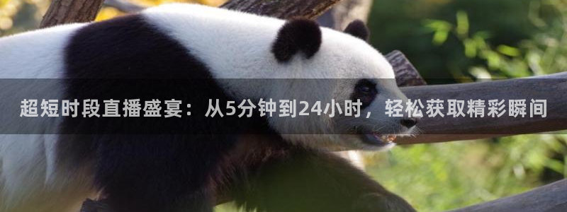 超短时段直播盛宴：从5分钟到24小时，轻松获取精彩瞬间