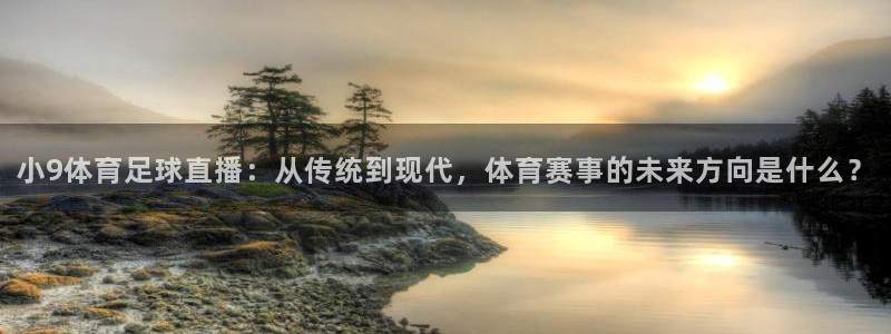 小9体育足球直播：从传统到现代，体育赛事的未来方向是什么？