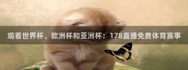 观看世界杯、欧洲杯和亚洲杯：178直播免费体育赛事