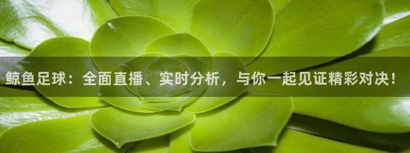 鲸鱼足球：全面直播、实时分析，与你一起见证精彩对决！