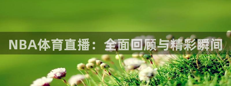 NBA体育直播：全面回顾与精彩瞬间