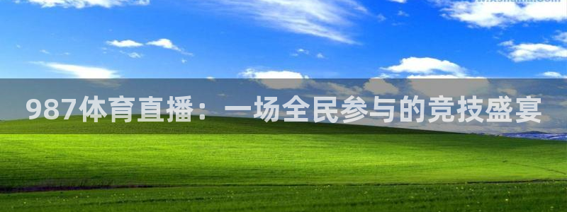 987体育直播：一场全民参与的竞技盛宴